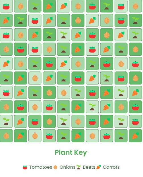 Companion Planting Plan for Onions with Tomatoes, Carrots, Beets.