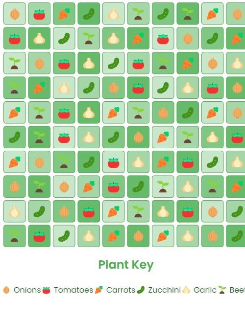 Companion Planting Plan for Onions with Tomatoes, Carrots, Beets, Zucchini, Garlic